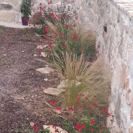 Pasiphae Luxury House * Ierapetra (Crete)