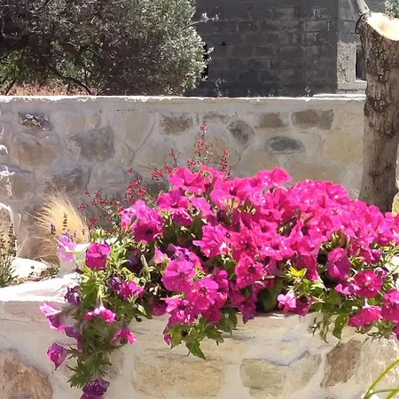 Holiday home Pasiphae Luxury House